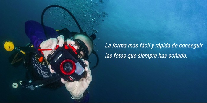 Curso de fotografía submarina