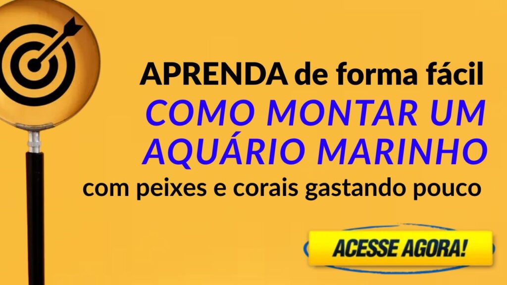 como montar um aquario marinho gastando pouco