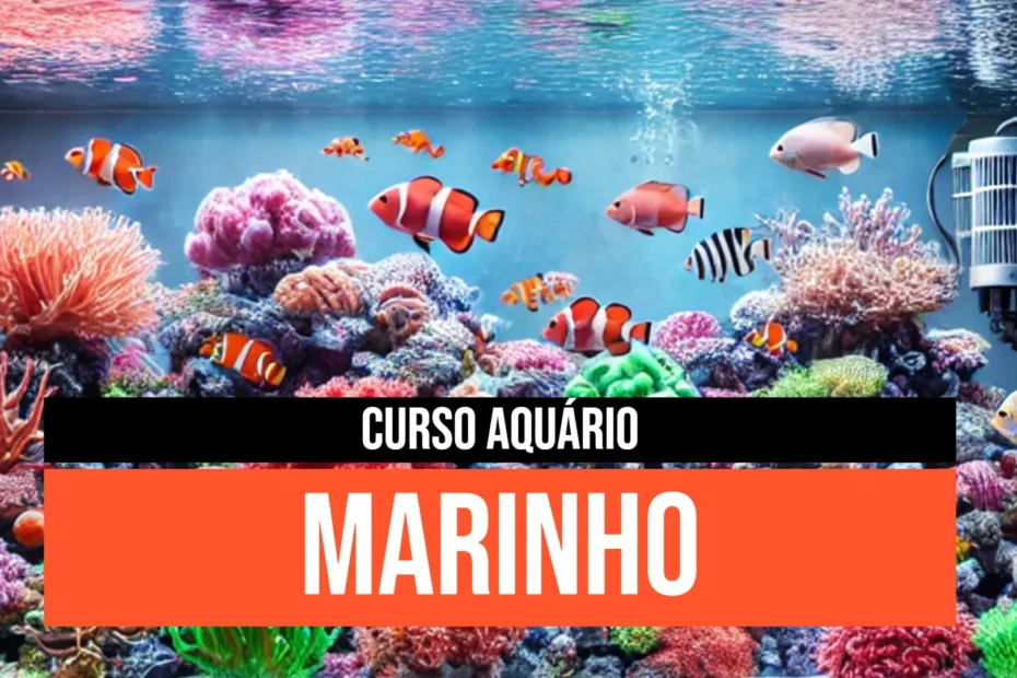 curso aquario marinho completo