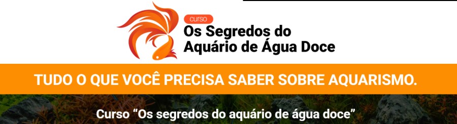 curso de aquario agua doce thiago cruz