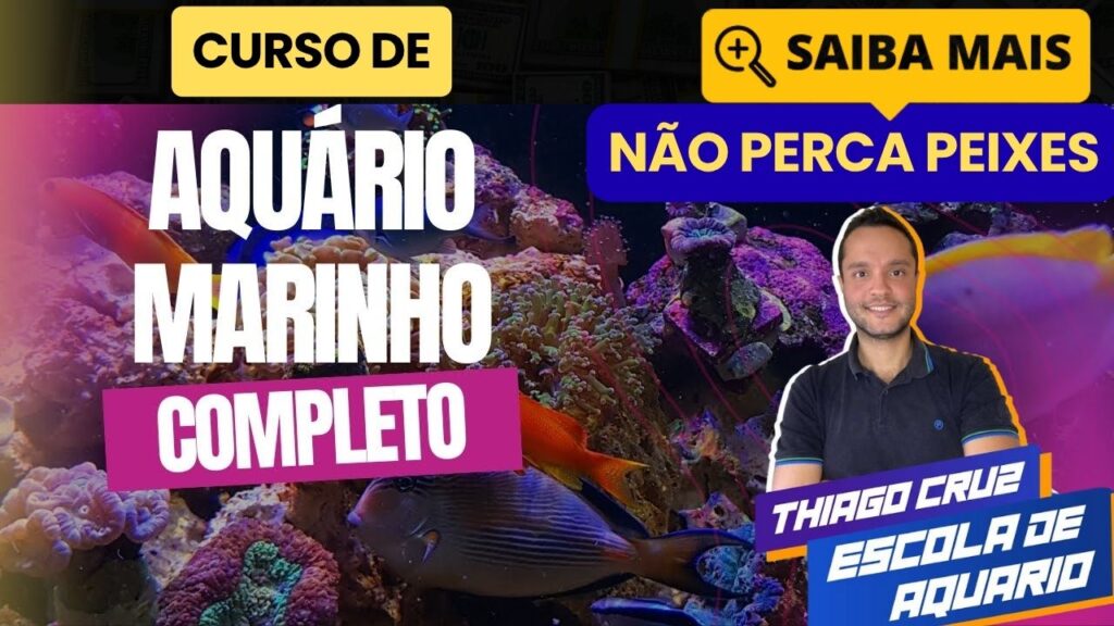 curso de aquario marinho thiago cruz escola de aquario