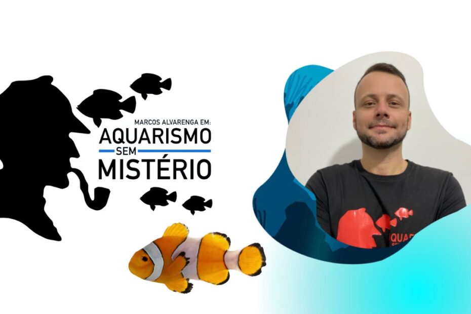 aquarismo sem misterio curso