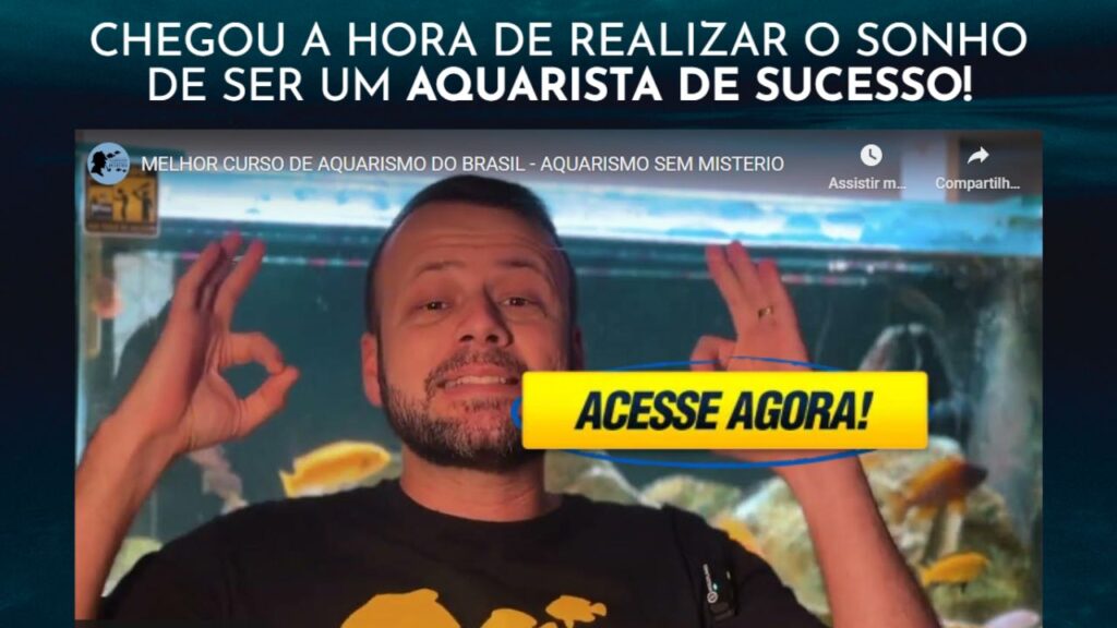 curso de aquarismo com marcos alvarenga