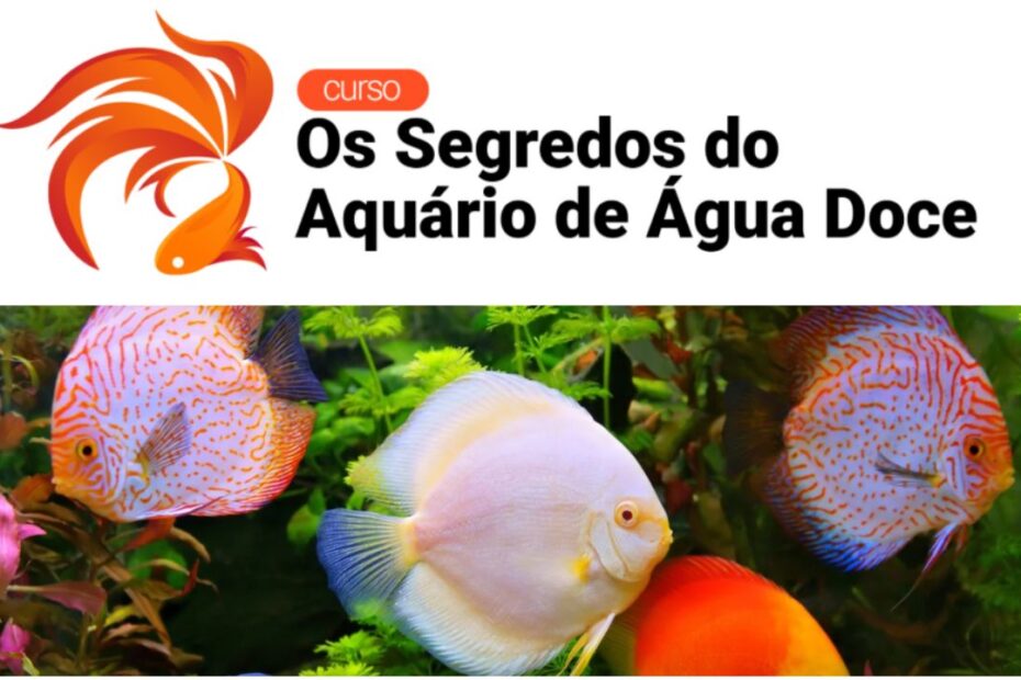 Curso os segredos do aquario de agua doce com thiago cruz